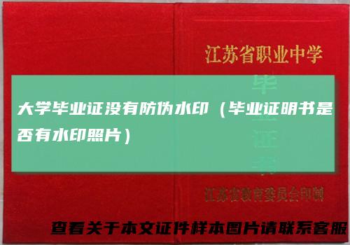 大学毕业证没有防伪水印(毕业证明书是否有水印照片)