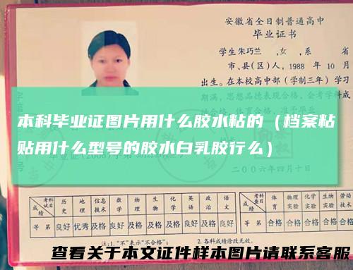 本科毕业证图片用什么胶水粘的(档案粘贴用什么型号的胶水白乳胶行么)