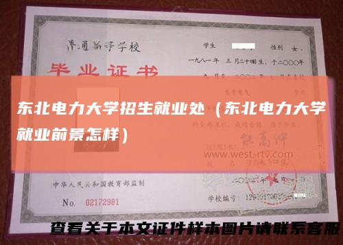 东北电力大学招生就业处(东北电力大学就业前景怎样)