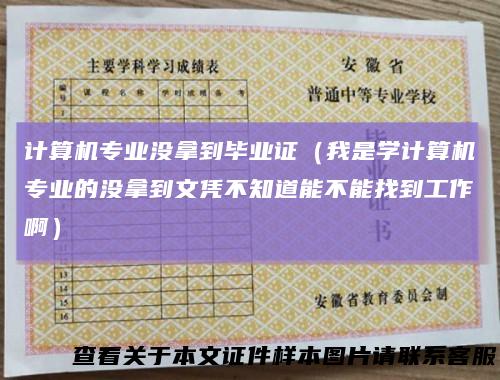 计算机专业没拿到毕业证(我是学计算机专业的没拿到文凭不知道能不能找到工作啊)