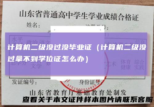 计算机二级没过没毕业证(计算机二级没过拿不到学位证怎么办)