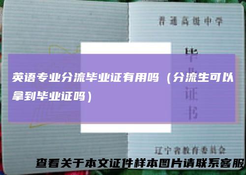 英语专业分流毕业证有用吗(分流生可以拿到毕业证吗)