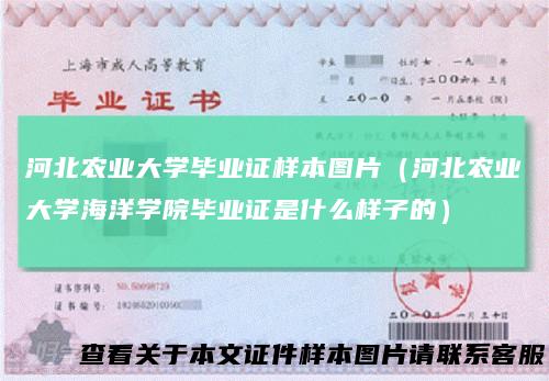 河北农业大学毕业证样本图片（河北农业大学海洋学院毕业证是什么样子的）