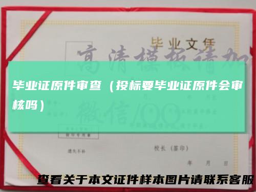 毕业证原件审查(投标要毕业证原件会审核吗)