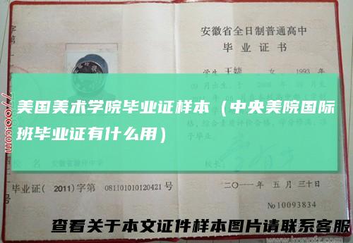 美国美术学院毕业证样本(中央美院国际班毕业证有什么用)