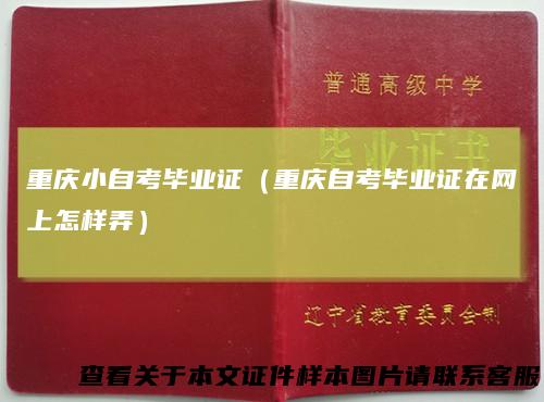 重庆小自考毕业证（重庆自考毕业证在网上怎样弄）