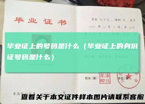 毕业证上的号码是什么（毕业证上的身份证号码是什么）