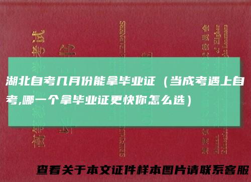 湖北自考几月份能拿毕业证(当成考遇上自考,哪一个拿毕业证更快你怎么选)