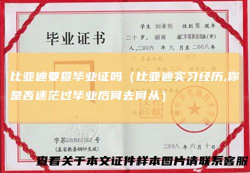 比亚迪要查毕业证吗(比亚迪实习经历,你是否迷茫过毕业后何去何从)