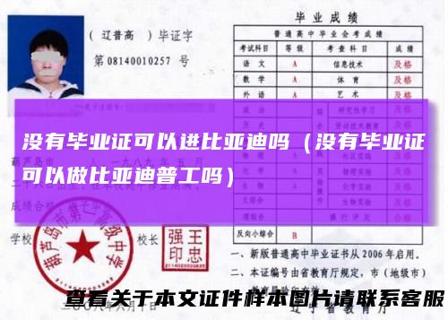 没有毕业证可以进比亚迪吗(没有毕业证可以做比亚迪普工吗)