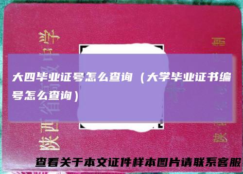 大四毕业证号怎么查询（大学毕业证书编号怎么查询）