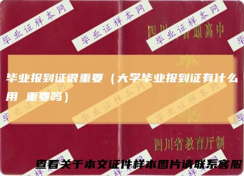 毕业报到证很重要（大学毕业报到证有什么用重要吗）
