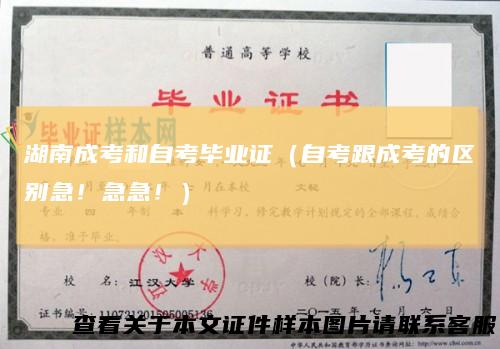 湖南成考和自考毕业证(自考跟成考的区别急!急急!)