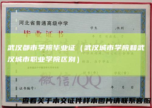 武汉都市学院毕业证（武汉城市学院和武汉城市职业学院区别）
