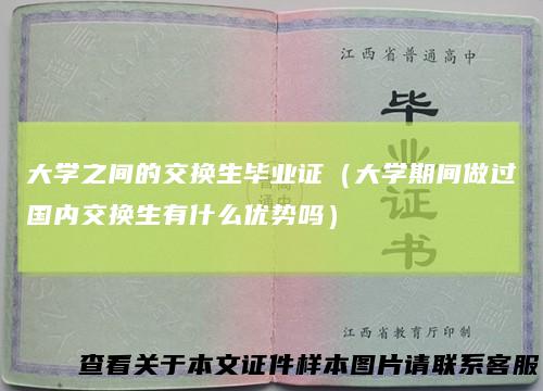 大学之间的交换生毕业证（大学期间做过国内交换生有什么优势吗）