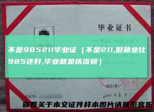 不是985211毕业证（不是211,但就业比985还好,毕业就是铁饭碗）
