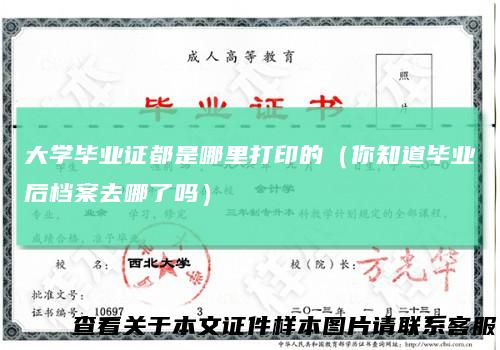 大学毕业证都是哪里打印的(你知道毕业后档案去哪了吗)