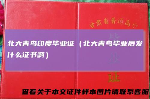北大青鸟印度毕业证（北大青鸟毕业后发什么证书啊）