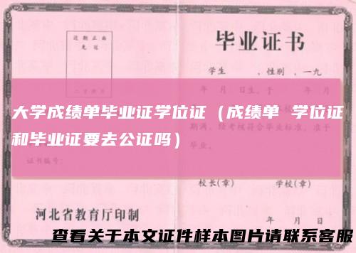 大学成绩单毕业证学位证（成绩单学位证和毕业证要去公证吗）
