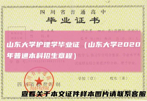 山东大学护理学毕业证(山东大学2020年普通本科招生章程)