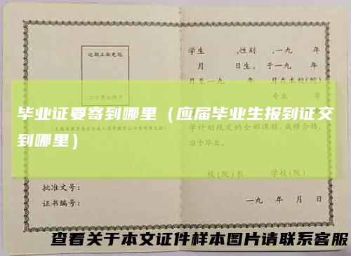 毕业证要寄到哪里（应届毕业生报到证交到哪里）