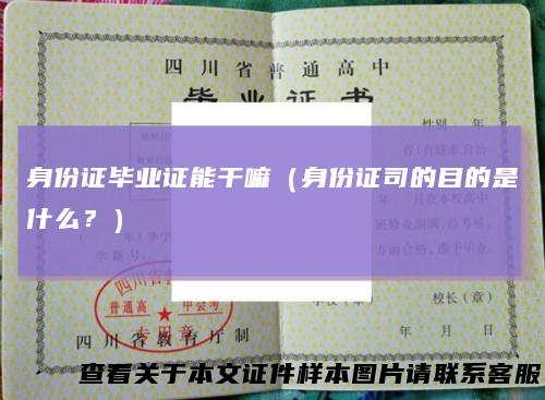 身份证毕业证能干嘛（身份证司的目的是什么？）