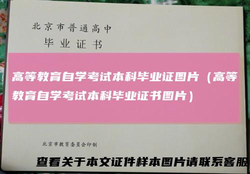 高等教育自学考试本科毕业证图片(高等教育自学考试本科毕业证书图片)