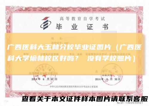 广西医科大玉林分校毕业证图片(广西医科大学榆林校区好吗?没有学校照片)