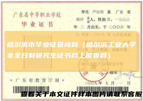 哈尔滨市毕业证查询网(哈尔滨工业大学非全日制研究生证书网上能查吗)