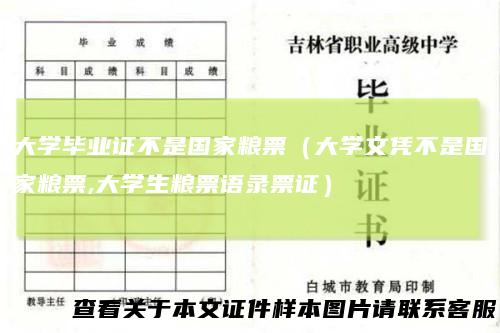 大学毕业证不是国家粮票（大学文凭不是国家粮票,大学生粮票语录票证）