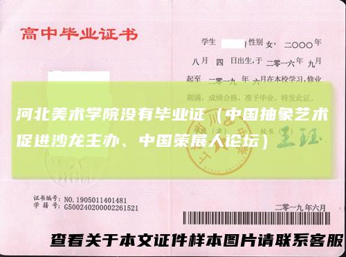 河北美术学院没有毕业证(中国抽象艺术促进沙龙主办、中国策展人论坛)