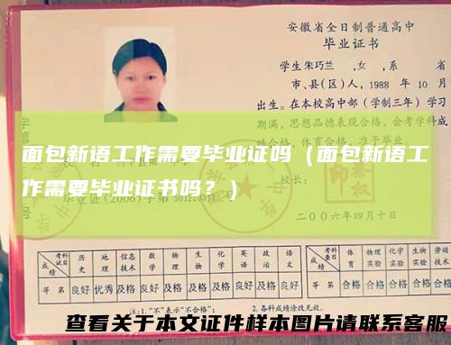 面包新语工作需要毕业证吗(面包新语工作需要毕业证书吗?)