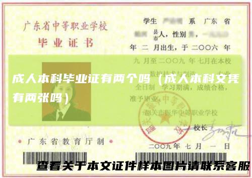 成人本科毕业证有两个吗（成人本科文凭有两张吗）