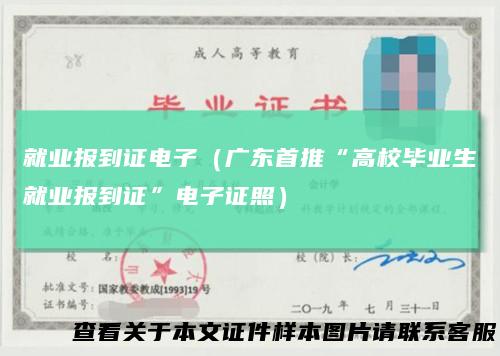 就业报到证电子（广东首推“高校毕业生就业报到证”电子证照）