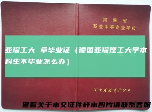 亚琛工大拿毕业证（德国亚琛理工大学本科生不毕业怎么办）