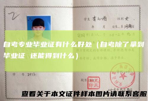 自考专业毕业证有什么好处（自考除了拿到毕业证还能得到什么）