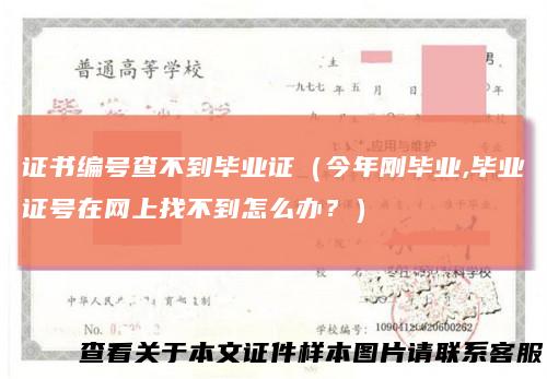 证书编号查不到毕业证（今年刚毕业,毕业证号在网上找不到怎么办？）