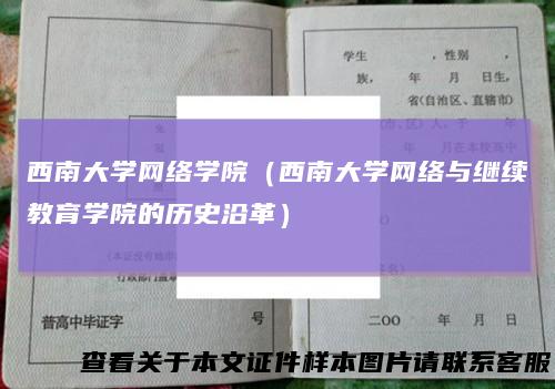 西南大学网络学院（西南大学网络与继续教育学院的历史沿革）