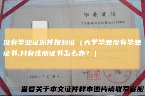 没有毕业证原件报到证(大学毕业没有毕业证书,只有注册证书怎么办?)