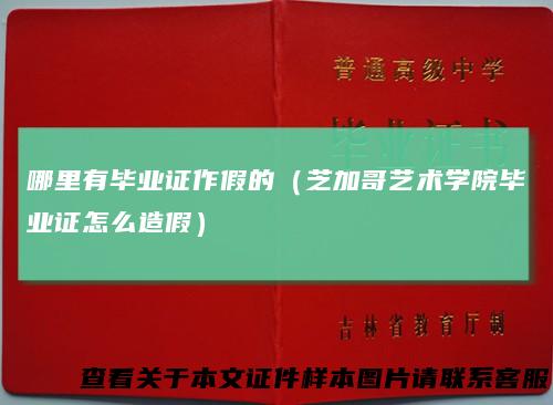 哪里有毕业证作假的(芝加哥艺术学院毕业证怎么造假)