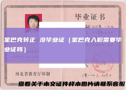 星巴克转正没毕业证(星巴克入职需要毕业证吗)