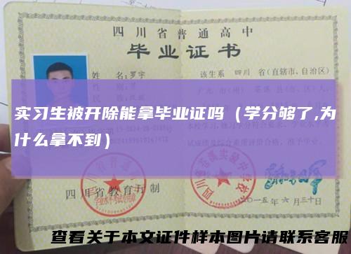 实习生被开除能拿毕业证吗(学分够了,为什么拿不到)