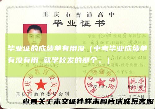 毕业证的成绩单有用没（中考毕业成绩单有没有用就学校发的那个。）