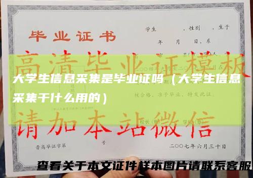 大学生信息采集是毕业证吗(大学生信息采集干什么用的)