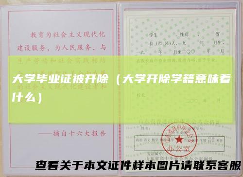 大学毕业证被开除(大学开除学籍意味着什么)