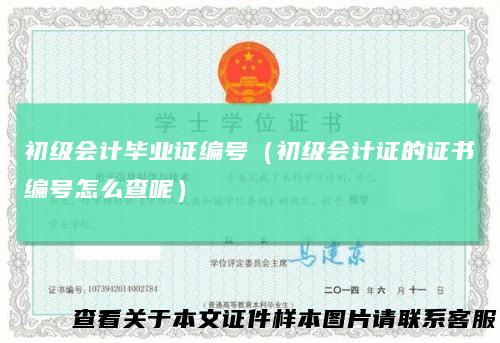 初级会计毕业证编号(初级会计证的证书编号怎么查呢)