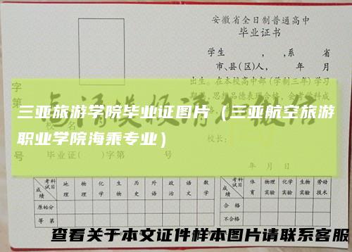 三亚旅游学院毕业证图片（三亚航空旅游职业学院海乘专业）