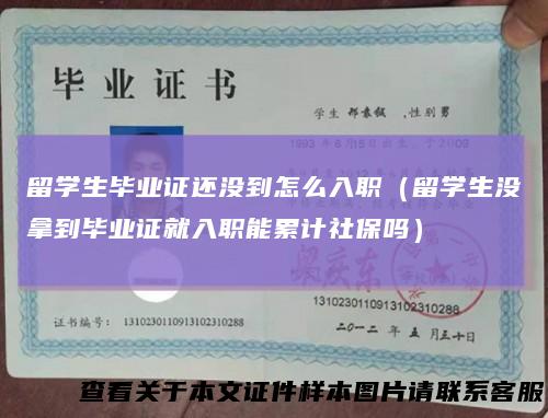 留学生毕业证还没到怎么入职（留学生没拿到毕业证就入职能累计社保吗）