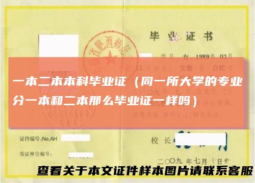 一本二本本科毕业证（同一所大学的专业分一本和二本那么毕业证一样吗）