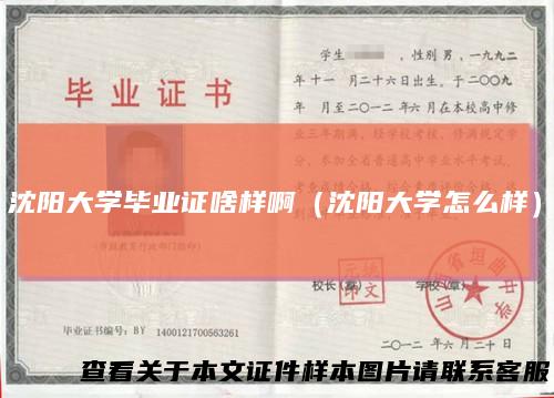 沈阳大学毕业证啥样啊(沈阳大学怎么样)